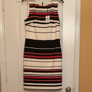 Calvin Klein Striped Dress size 8 NWT